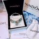 AAA Quality Pandora Charm Bracelet For Sale (5)_th.jpg